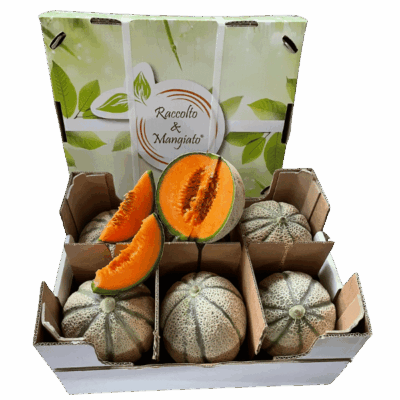 Confezione Melone