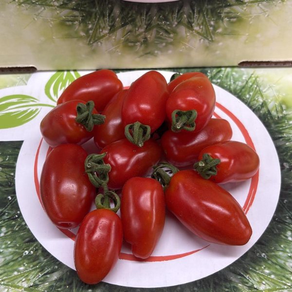 Pomodoro San Marzanino