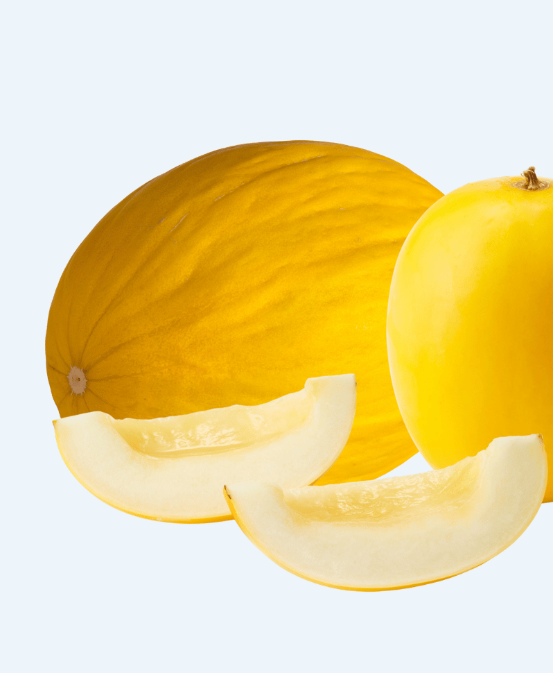 Melone Gialletto