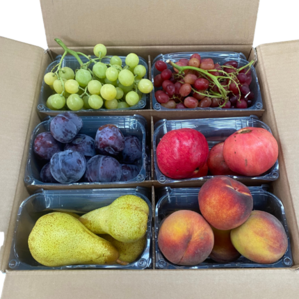 BOX FRUTTA