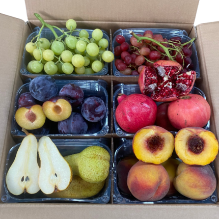 BOX FRUTTA