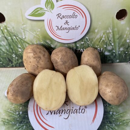 Patate Novelle Calabresi da 4kg