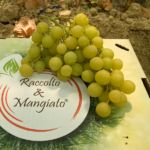 Uva Bianca AUTUMNCRISP® siciliana senza semi | confezione - immagine 2