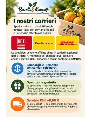 corrieri_350x450_completa