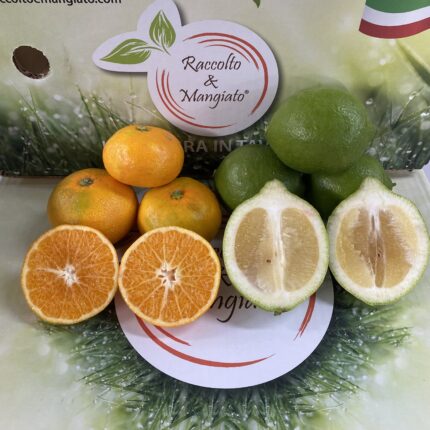 Box Clementine e Limoni da 9 kg
