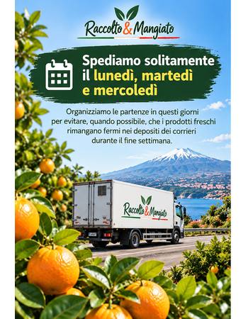 spedizioni_350x450_completa